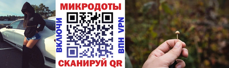 Галлюциногенные грибы Psilocybine cubensis  дарнет шоп  Азов 